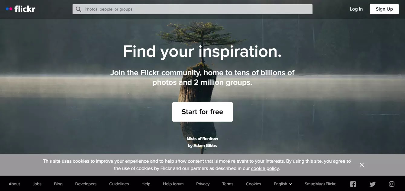Top 10 Reverse Image Search Engines / Tools, flickr image search