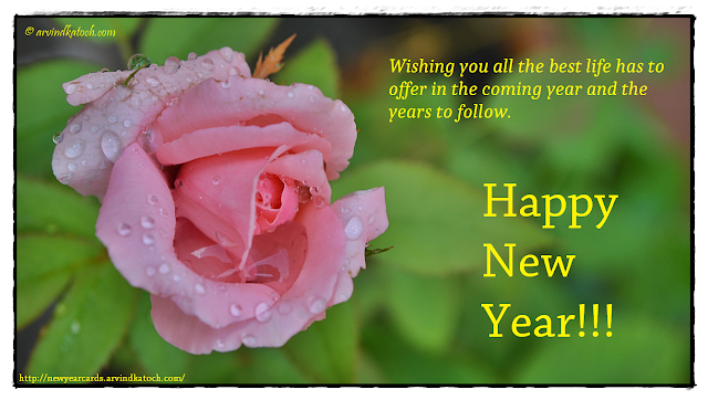 Pink Rose, New Year Card, Best Life, Offer, Coming Year, Years,