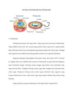   perbedaan prokariotik dan eukariotik, perbedaan sel prokariotik dan eukariotik pdf, dasar perbedaan antara sel prokariotik dengan sel eukariotik, contoh sel prokariotik dan eukariotik, perbedaan sel prokariotik dan eukariotik brainly, tempat terdapatnya sel prokariotik dan eukariotik, jelaskan perbedaan sel prokariotik dan eukariotik, persamaan sel prokariotik dan eukariotik, gambar sel prokariotik dan eukariotik