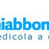 Miabbono.com presenta la nuova campagna natalizia di comunicazione digitale a cura di Intarget.net