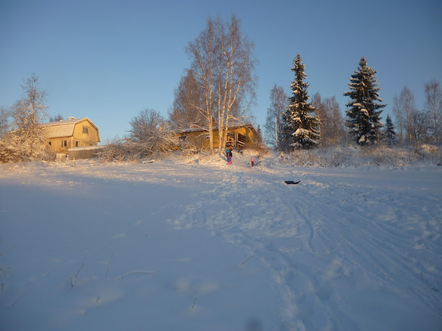 snow and barn in winter