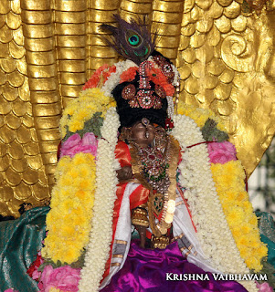 Sri Krishna Jayanthi, Kutty, Kannan, Purappadu,2016, Video, Divya Prabhandam,Sri Parthasarathy Perumal, Triplicane,Thiruvallikeni,Utsavam,