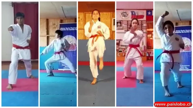 Karate Online