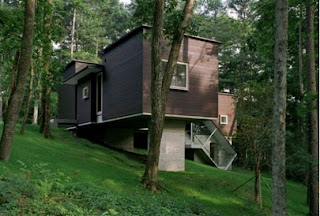 Green-Home-Architecture-on-a-hill-Green-Forest