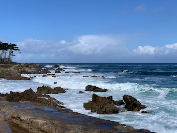 It's a beach view with many rocks. There are some trees in the distance on the left. They look like they have been sculpted by the wind. There are waves rolling into the beach. The sky is blue with some white clouds.