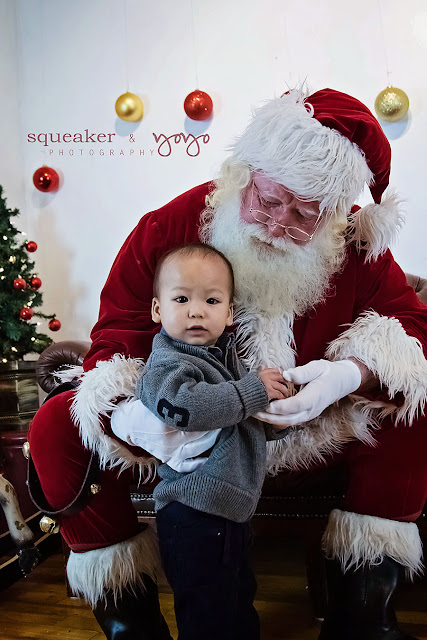 Santa Experience Portraits georgetown