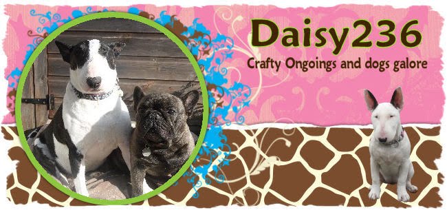 Daisy236