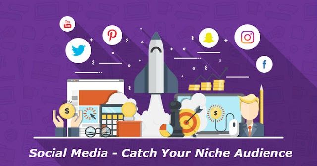 Social Media - Catch Your Niche Audience