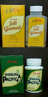 obat herbal alami gagal ginjal