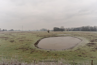 Naturfotografie Wildlifefotografie Lippeaue Olaf Kerber