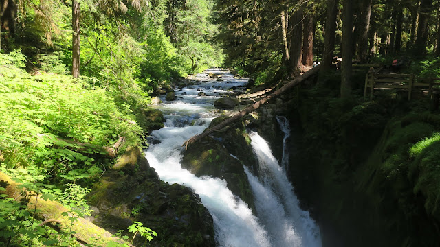 Olympic national park, national park, park, Olympic, waterfalls, hiking, forest, mountains