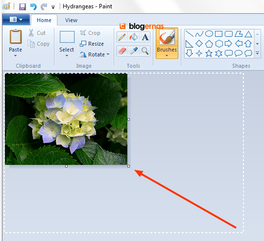 Cara Merubah Ukuran Gambar dengan Paint