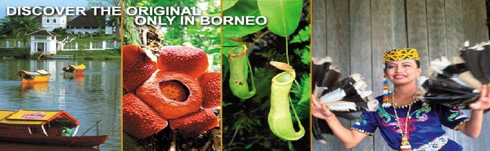 Borneo Packages