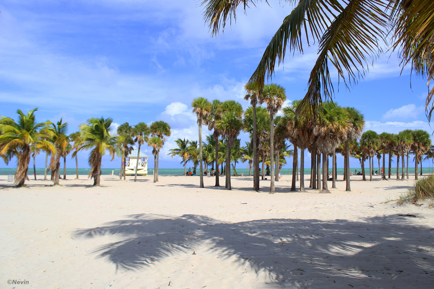 Crandon Park Beach