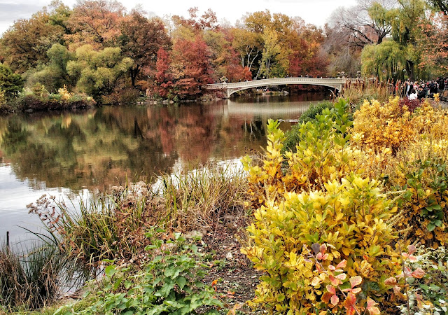 Bow Bridge, Central Park, NYC, 2013