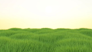 meadow grass field render