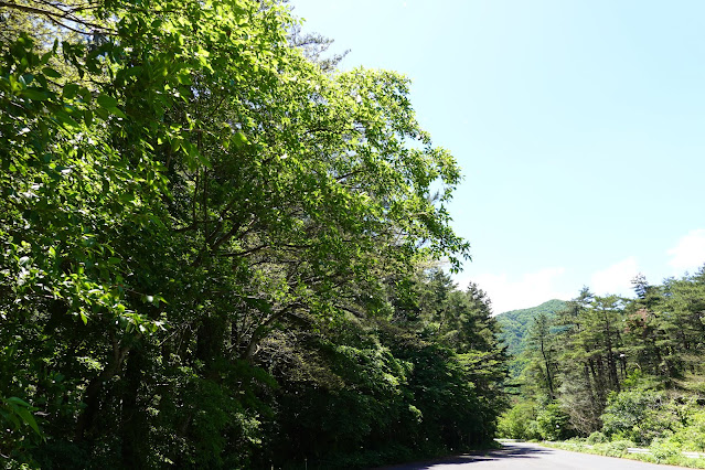 鳥取県道314号赤松大山線　鳥取県西伯郡大山町豊房