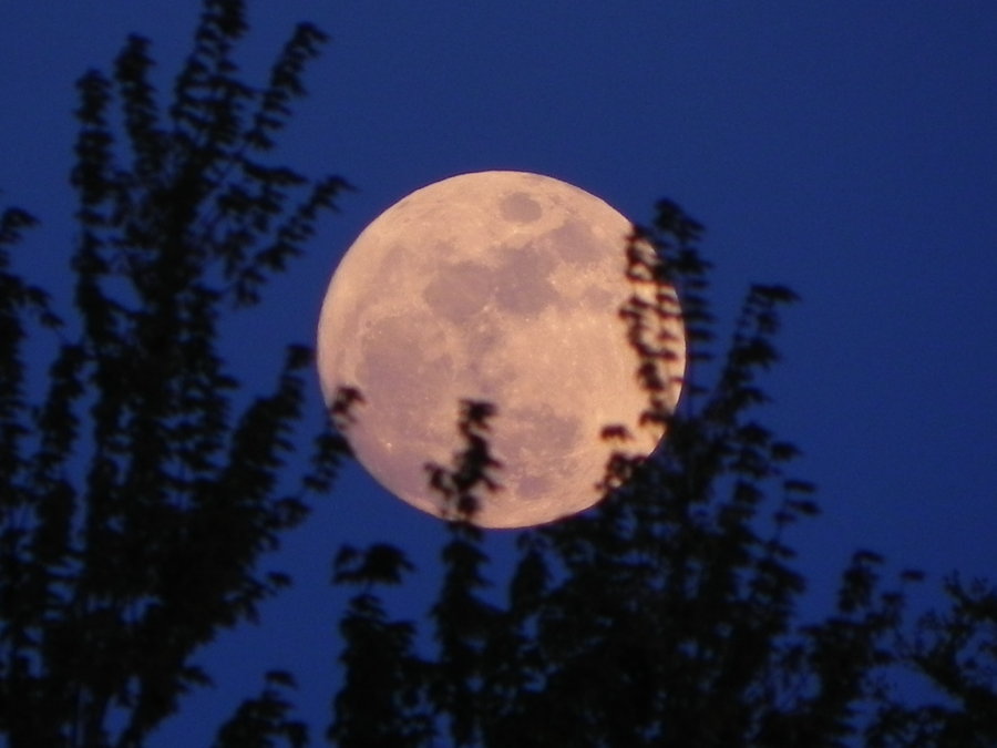 Bila gambar bersuara Gambar gambar bulan purnama yang menarik