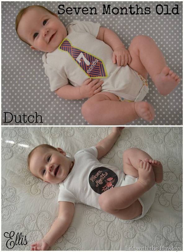 Seven Month Old Collage