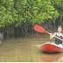 Mengayuh Kano, Menikmati Eksotisme Hutan Mangrove Ayah