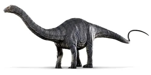 Apatosaurus/Brontosaurus - अपेटोसॉरस