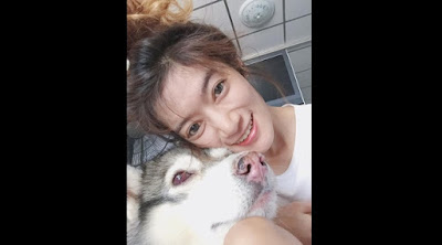 Bak Anak Kecil, Intip Gaya Menggemaskan Anjing Ini Foto Selfie