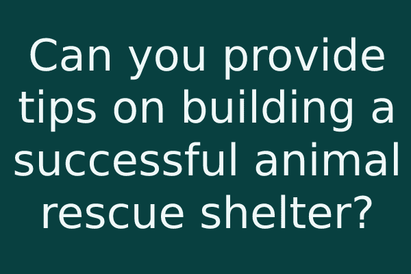Can you provide tips on building a successful animal rescue shelter?