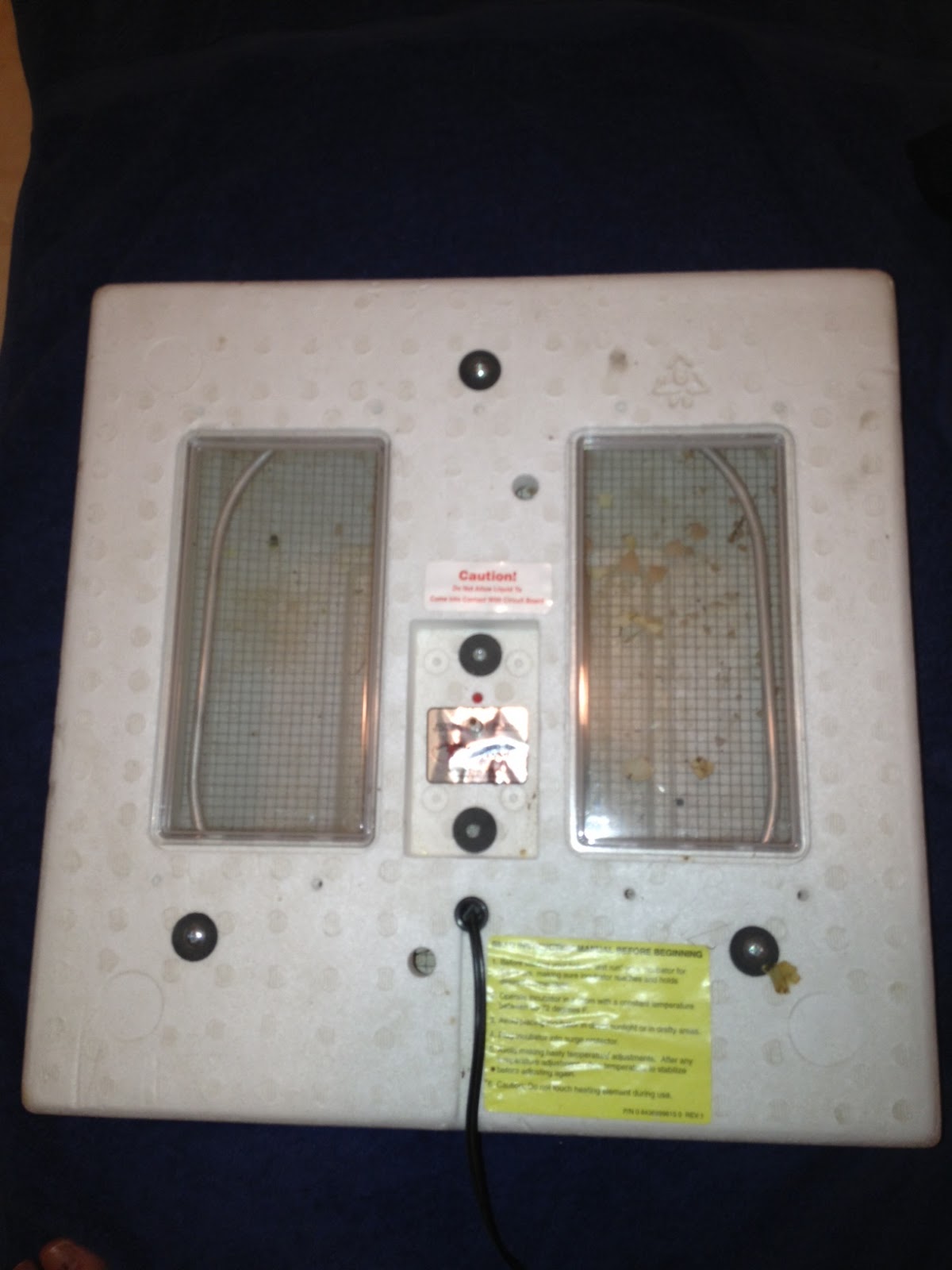 Practially Provident: How to incubate poultry using a styrofoam style incubator