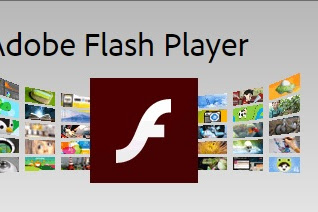 SOFTWARE Adobe Flash Player