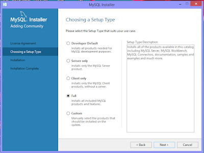 Choosing setup type