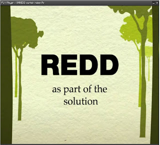 REDD as part of the solution