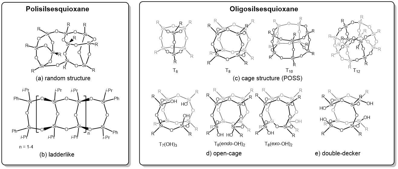 Polyhedral oligomeric silsesquioxanes (POSS)