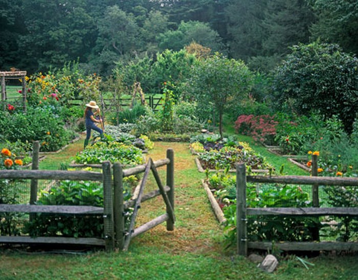 Casual Casa: Stunning garden designs & permaculture on Permaculture Garden Layout
 id=62727