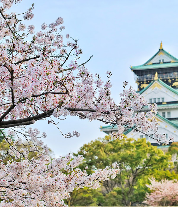 Dream Destinations for Your Bucket List 