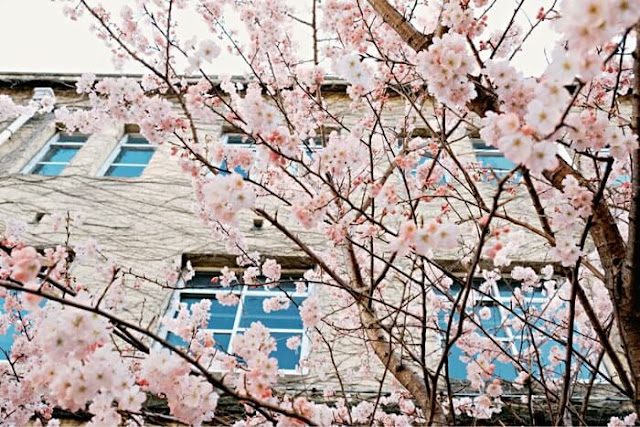 4月のミヤケミホの出勤日