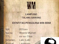 BBM MOD WM V3.1.0.13