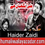 https://www.humaliwalyazadar.com/2018/10/haider-zaidi-nohay-2019.html