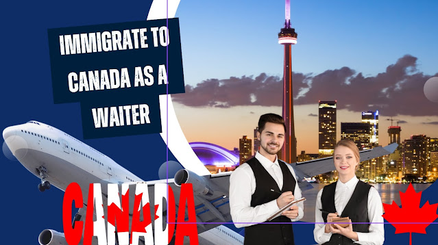 Your Guide to Immigrate to Canada as a Waiter Successfully /2023/2024 curvoflite