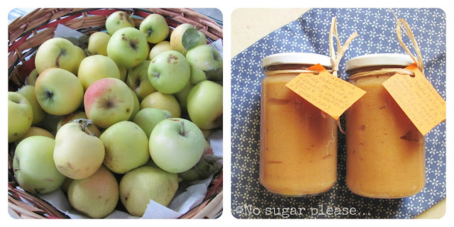 mousse di mele fatta in casa