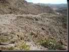 DSCN0066