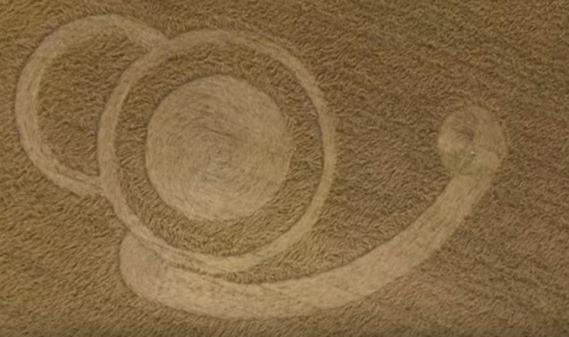 UM NOVO AGROGRAMA APARECE EM UM CAMPO MALABRIGO