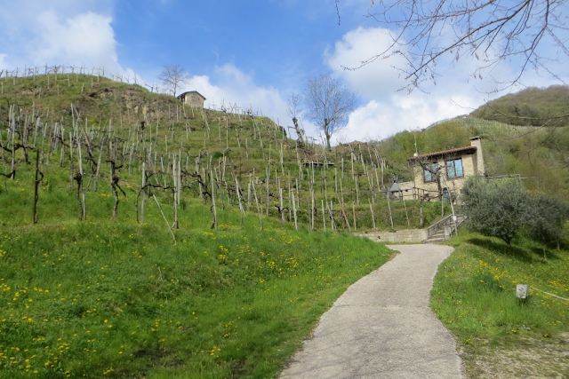 sentiero gor della cuna torri di credazzo