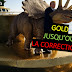 Investir en or pour la retraite et la transmission (05/04/25) - En préparation.