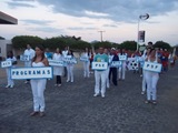 Emas (137)