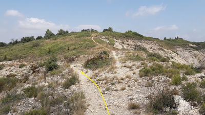 GR-175 Ruta del Cister, Santes Creus a Rocafort de Queralt, corriol a la Roca del Cogulló i al cim del Cogulló dins del terme municipal del Pont de l'Armentera