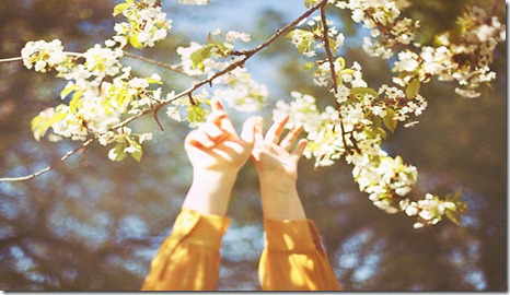 reach,nature,photography,spring-ccaffdfe1c69e74faa1081ce0ee5fe61_h_large