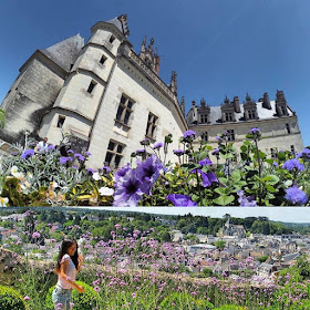 Amboise Royal Chateau, Loire Valley chateau 