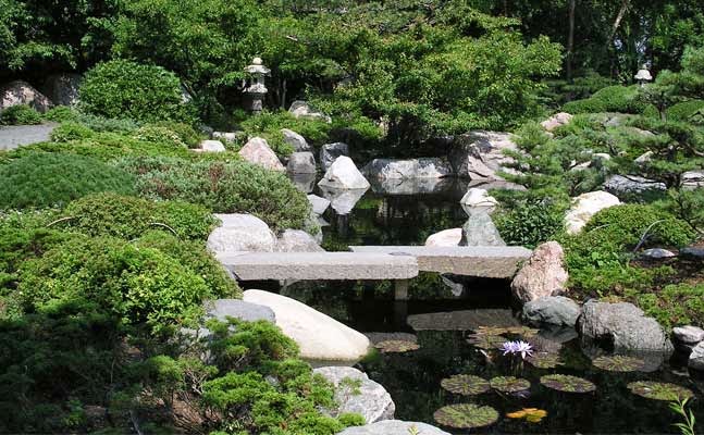 Japanese Garden