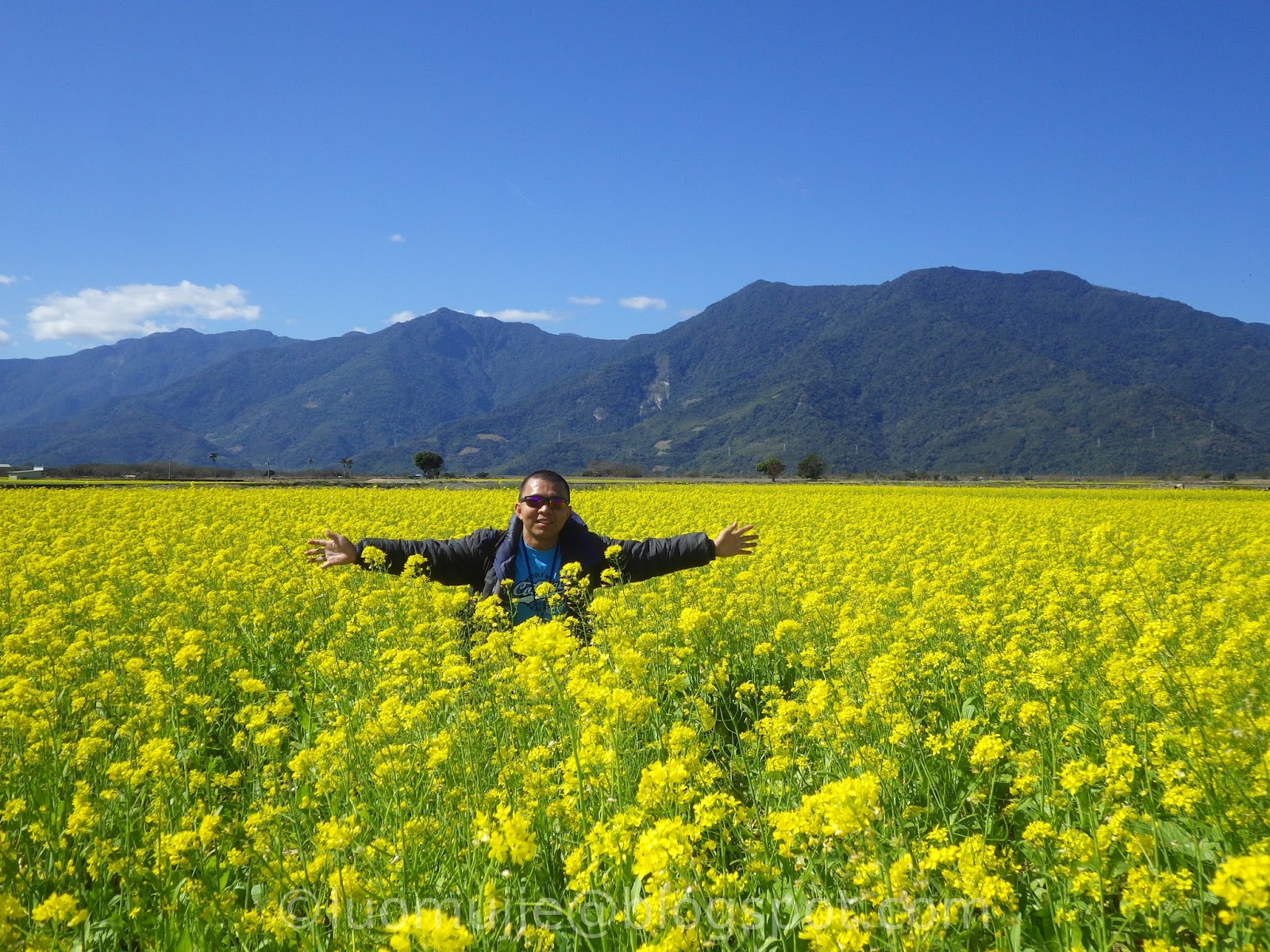 Taitung Rapeseed Flower Sea