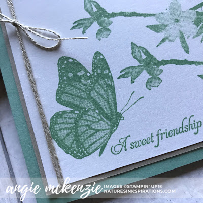 Global Creative INKspirations - New Annual Catalog | Butterfly Wishes by Stampin' Up!® | Nature's INKspirations by Angie McKenzie